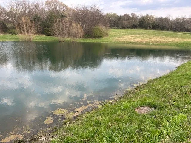 1380 Haley Rd Watertown, TN 37184