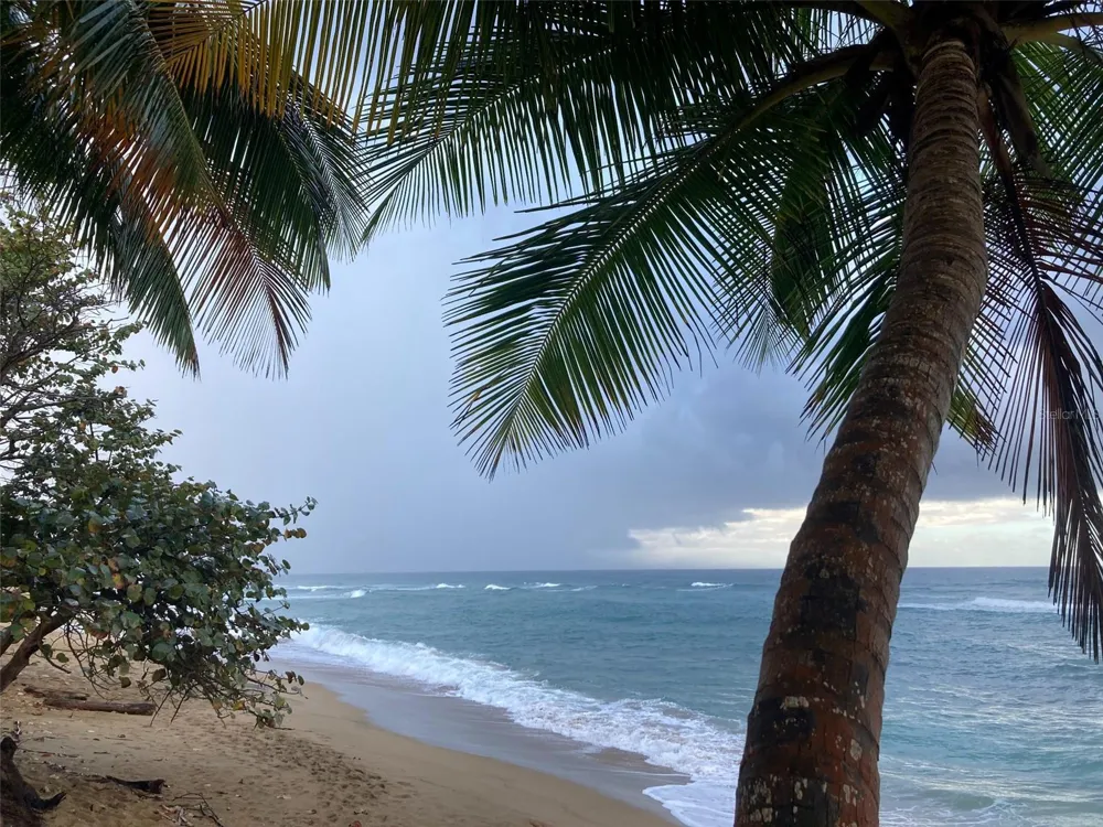 115 CARR, KM 17 #Villa B-1 Rincon, PR 00677