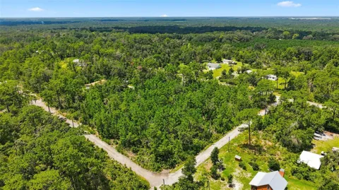 0 LANIER (LOT 1) AVENUE