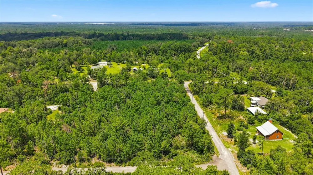 0 LANIER (LOT 1) AVENUE Brooksville, FL 34604
