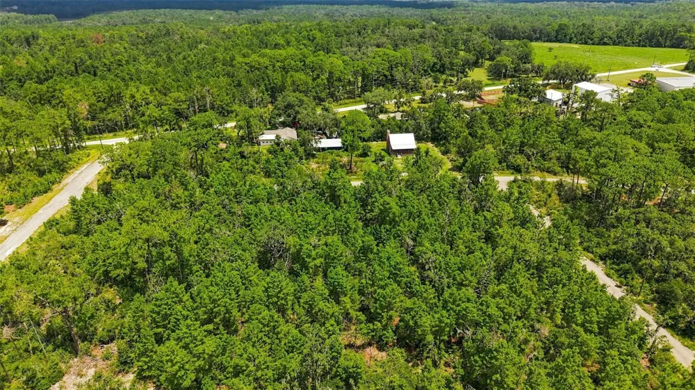 0 LANIER (LOT 1) AVENUE Brooksville, FL 34604