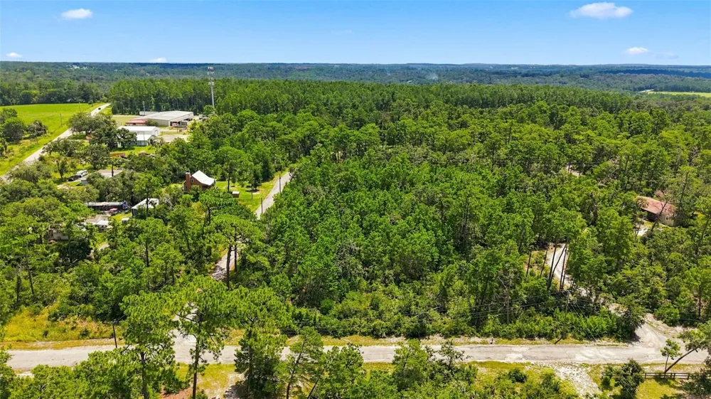 0 LANIER (LOT 1) AVENUE Brooksville, FL 34604