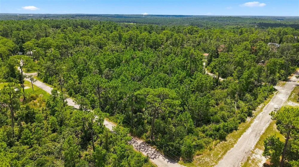 0 LANIER (LOT 1) AVENUE Brooksville, FL 34604