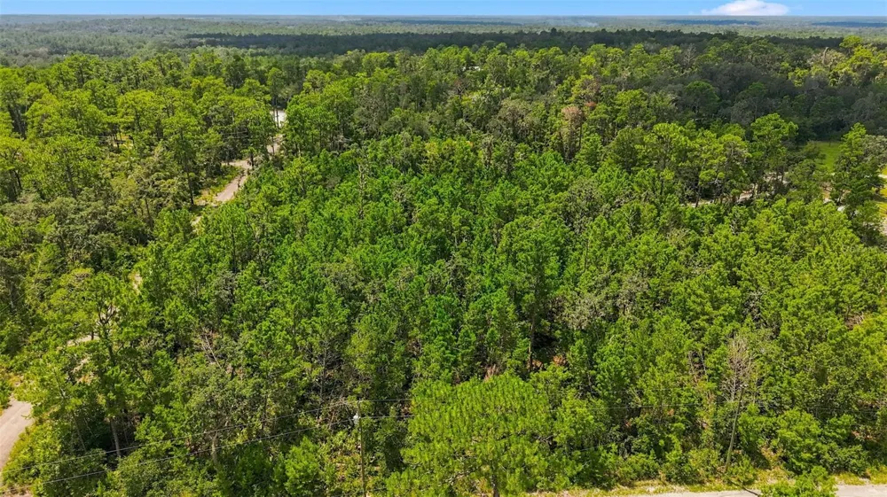 0 LANIER (LOT 1) AVENUE Brooksville, FL 34604
