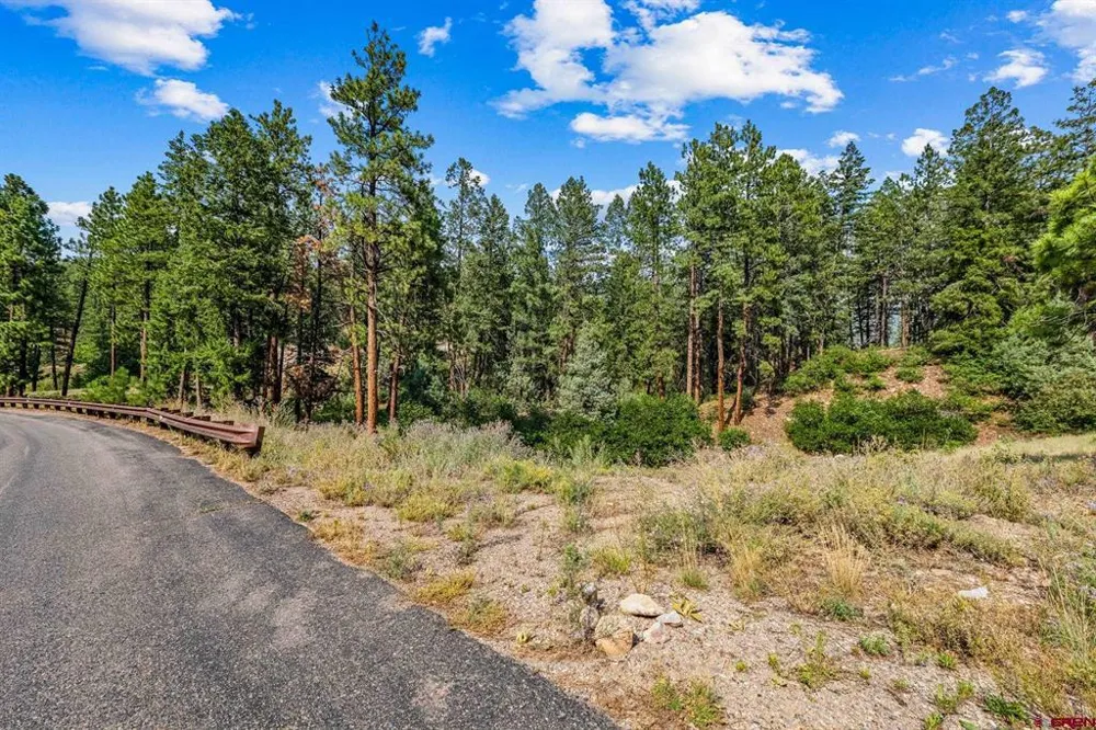 307 Glacier Cliff Drive Durango, CO 81301