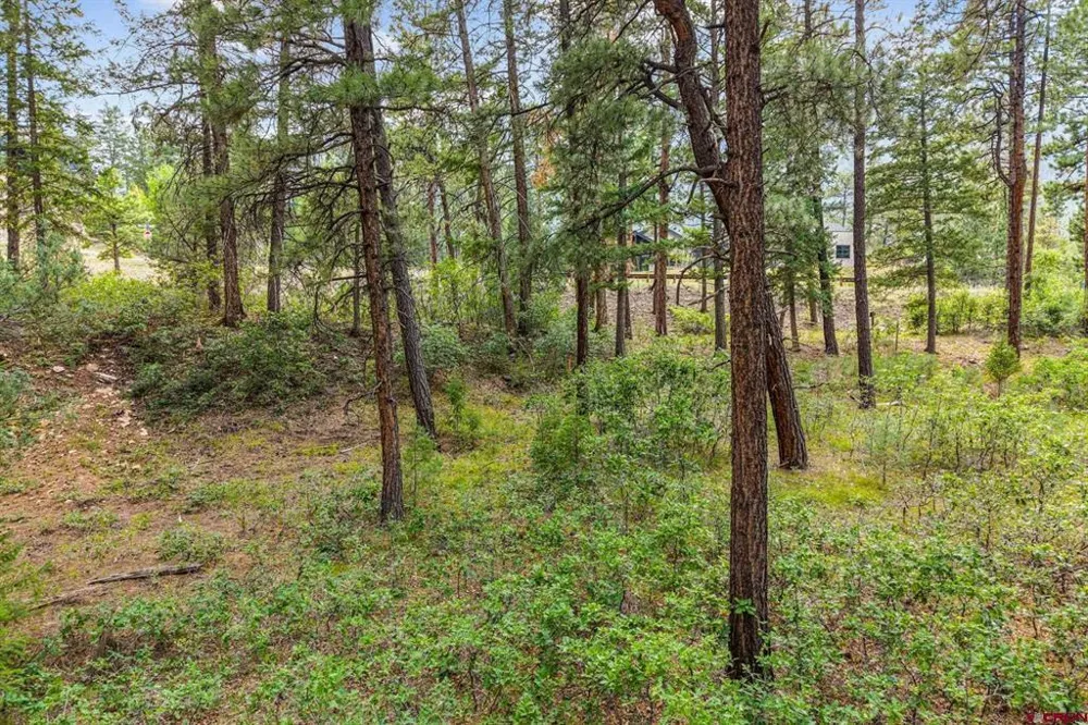 307 Glacier Cliff Drive Durango, CO 81301