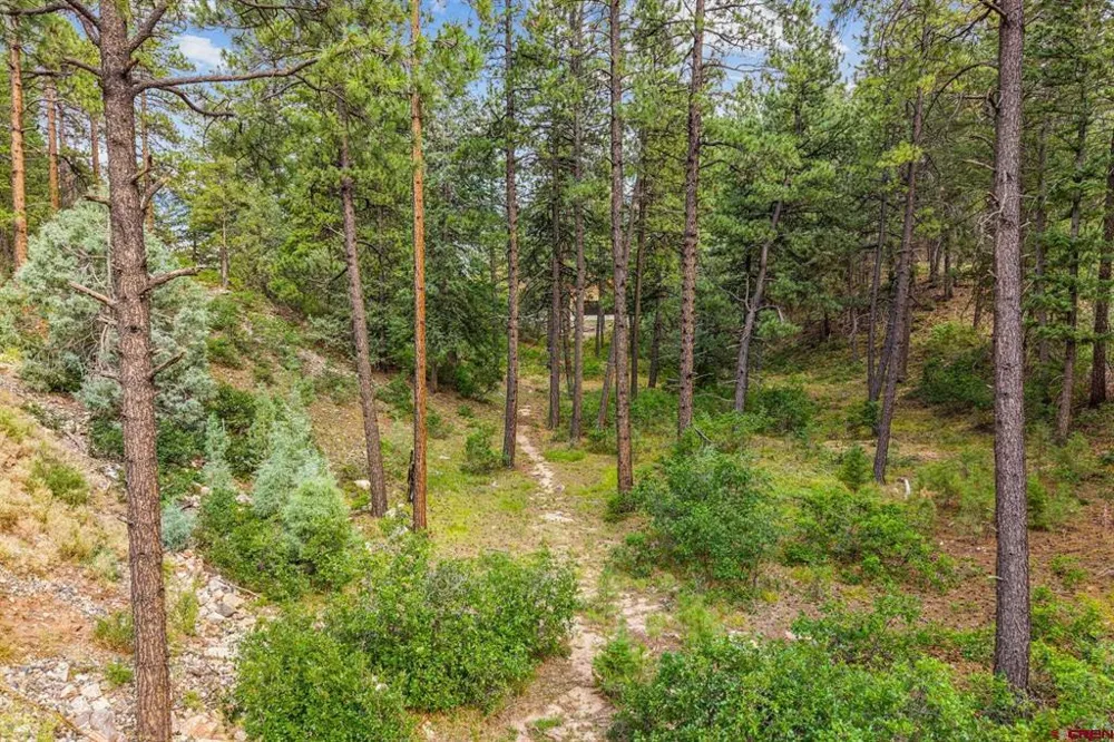 307 Glacier Cliff Drive Durango, CO 81301