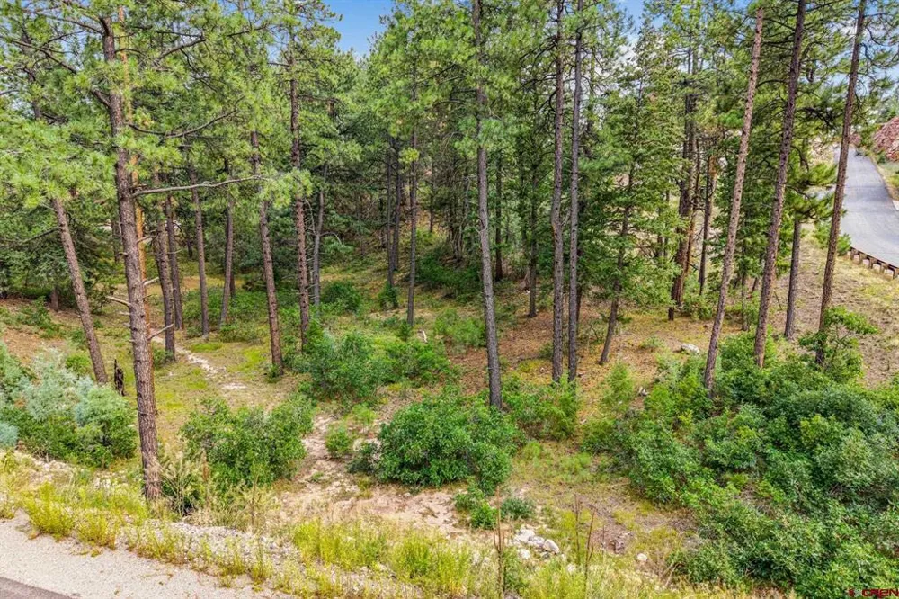 307 Glacier Cliff Drive Durango, CO 81301