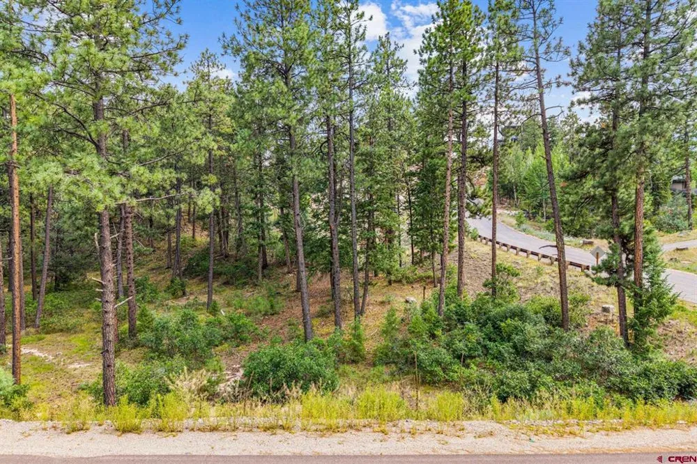 307 Glacier Cliff Drive Durango, CO 81301