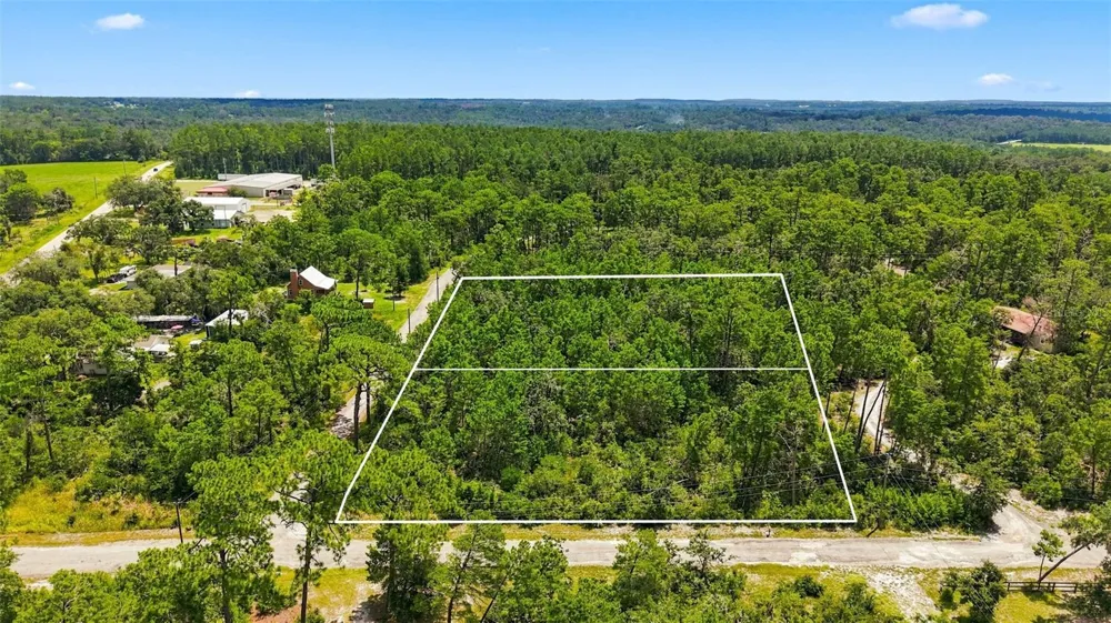 0 LANIER (LOT 2) AVENUE Brooksville, FL 34604