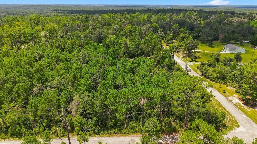 0 LANIER (LOT 2) AVENUE Brooksville, FL 34604