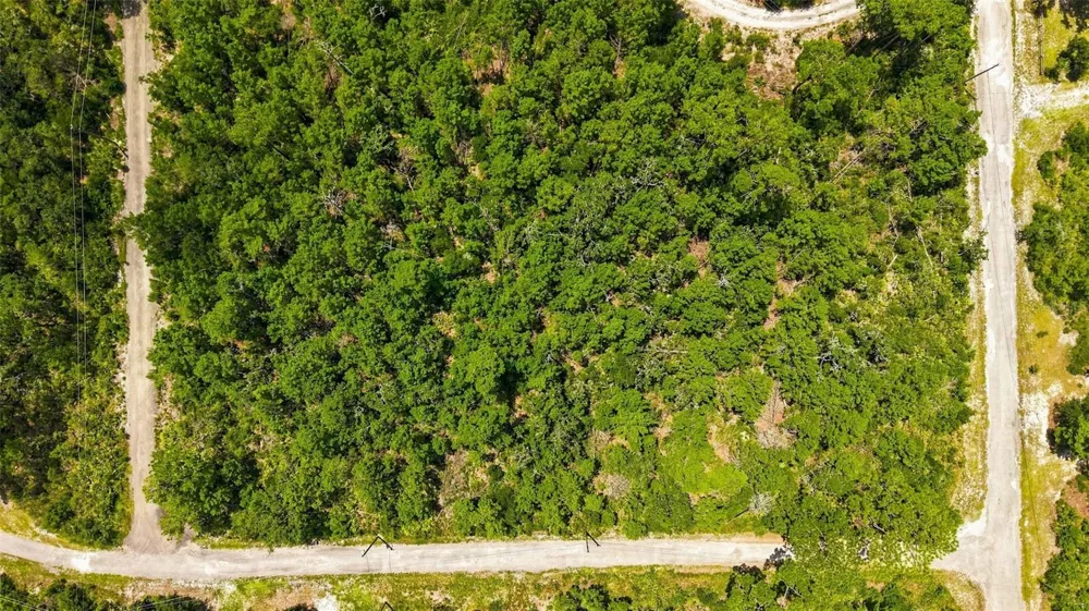 0 LANIER (LOT 2) AVENUE Brooksville, FL 34604