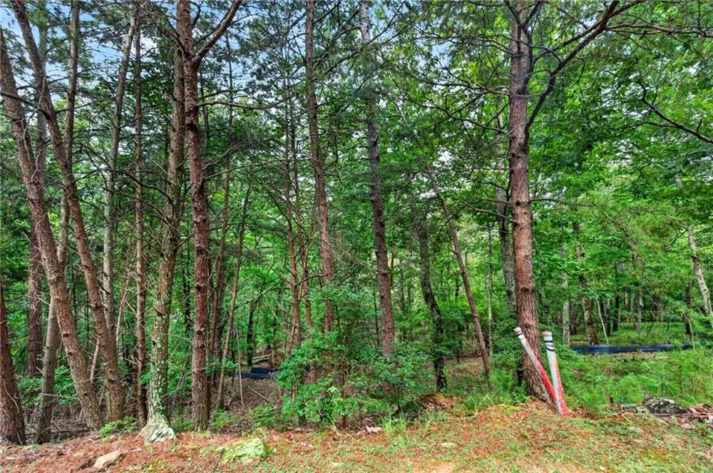 16 Ridgewater Drive SE Cartersville, GA 30121
