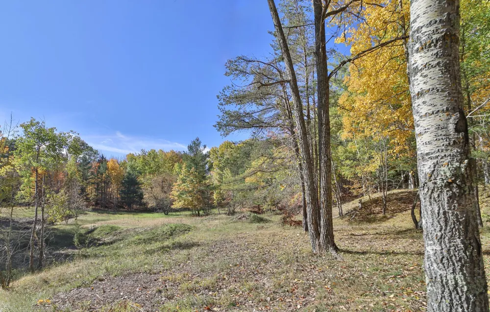 15184 Damsgaard Road NE Deerwood, MN 56444
