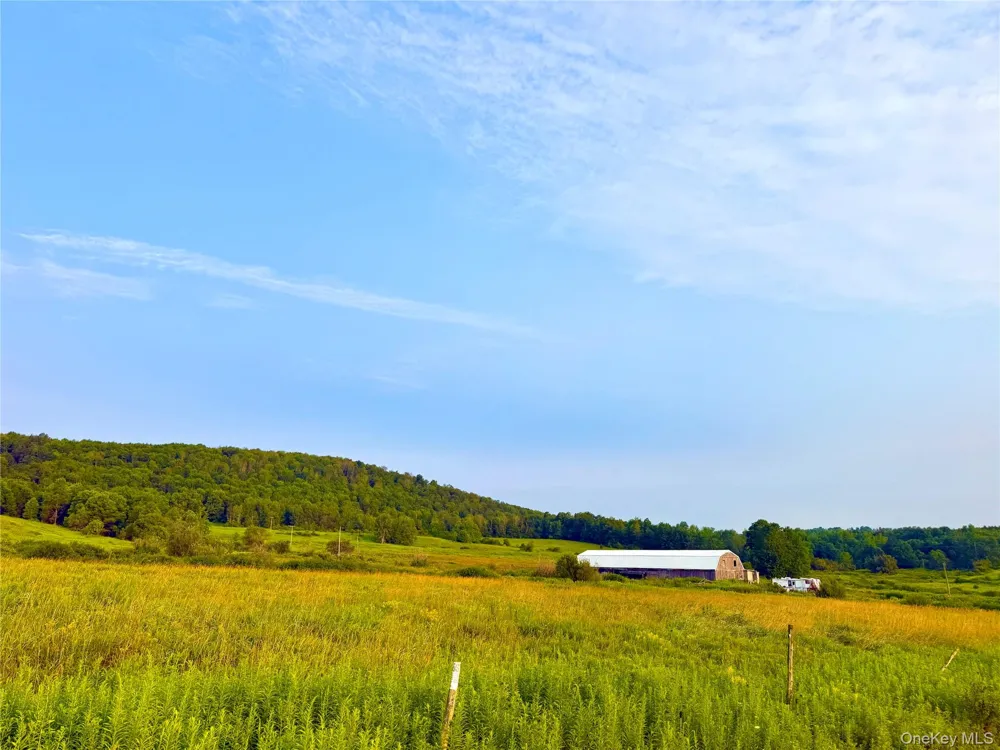 299 WALT PHILLIPS Call Listing Agent, NY 13460
