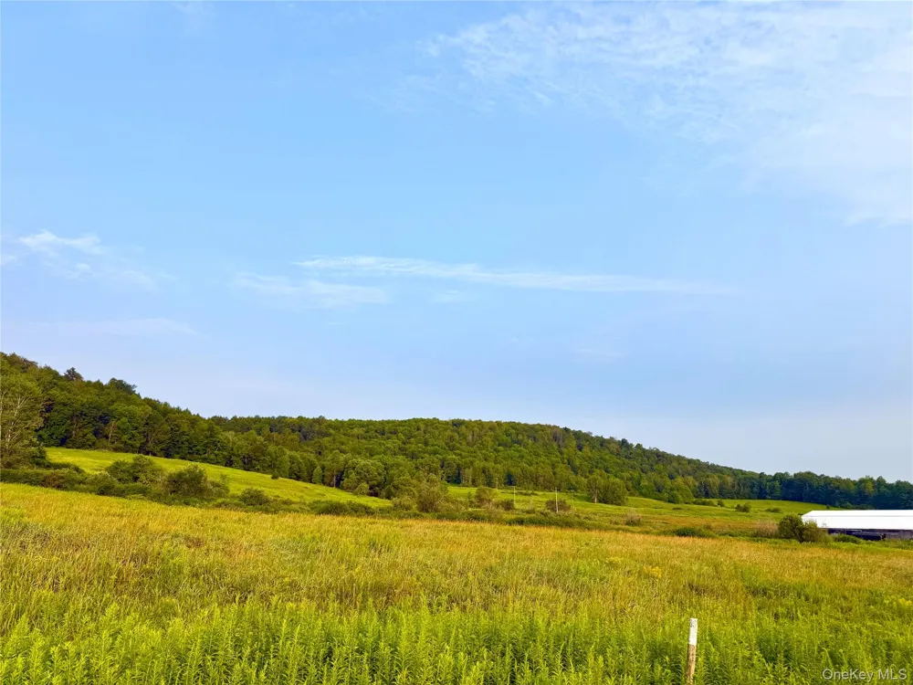 299 WALT PHILLIPS Call Listing Agent, NY 13460