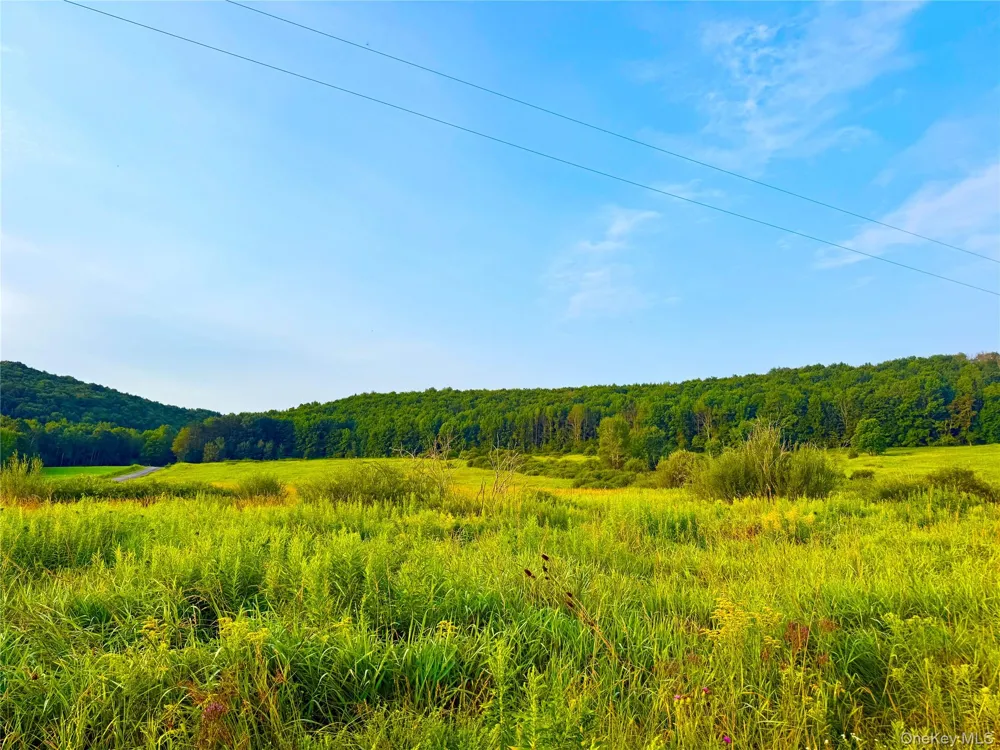 299 WALT PHILLIPS Call Listing Agent, NY 13460