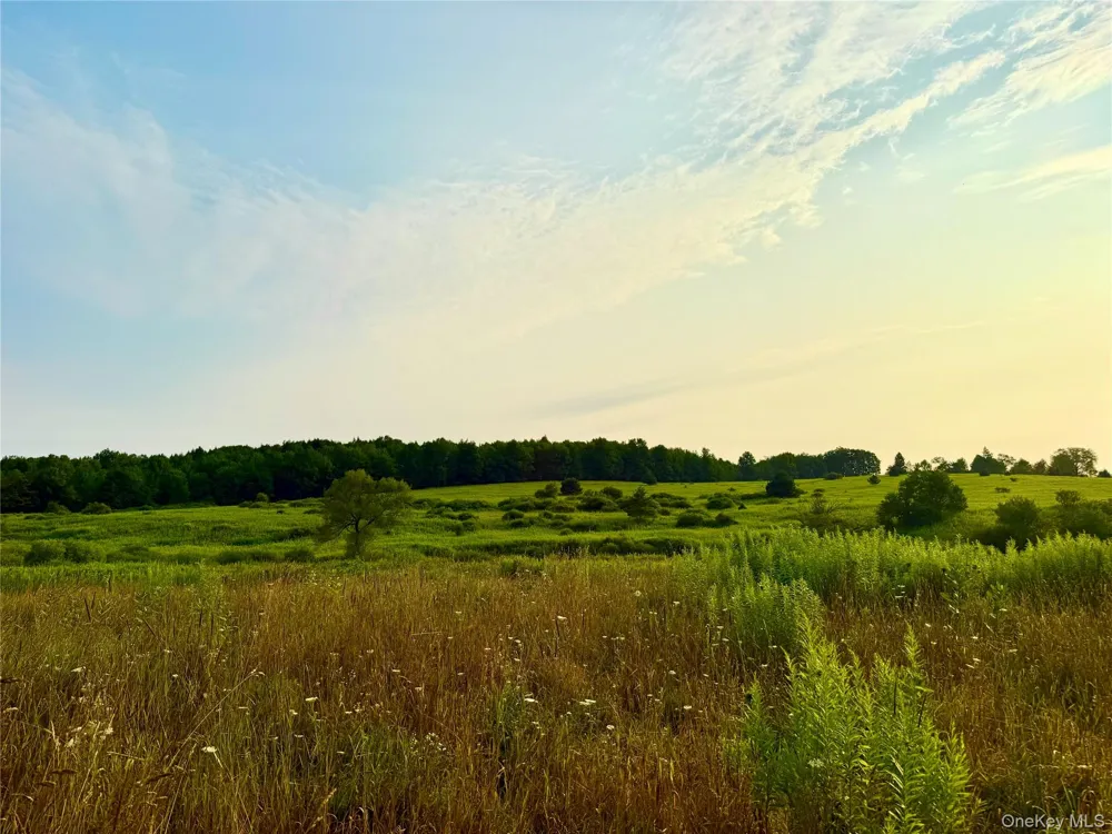299 WALT PHILLIPS Call Listing Agent, NY 13460