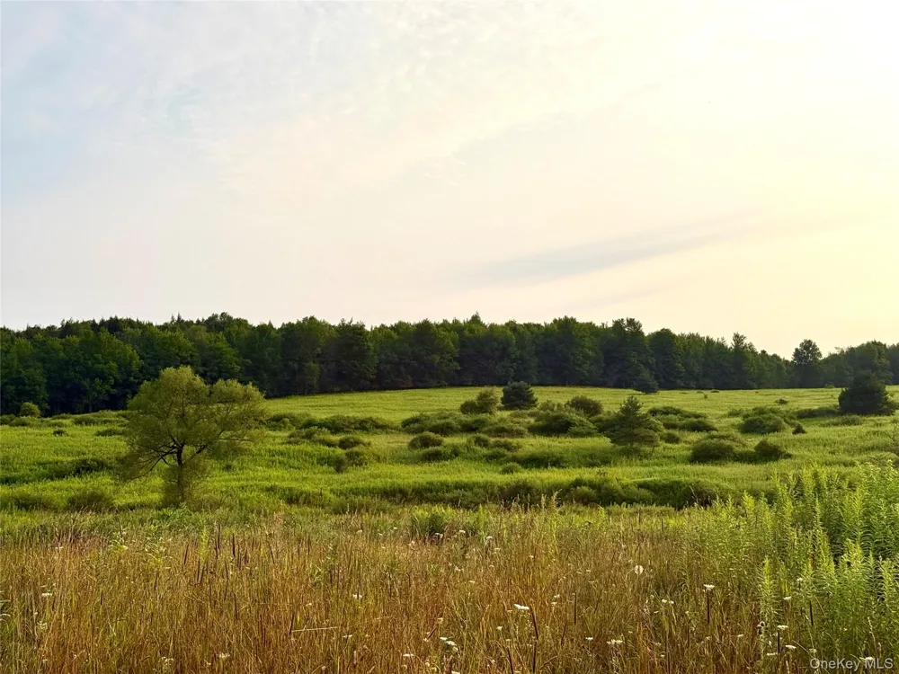 299 WALT PHILLIPS Call Listing Agent, NY 13460