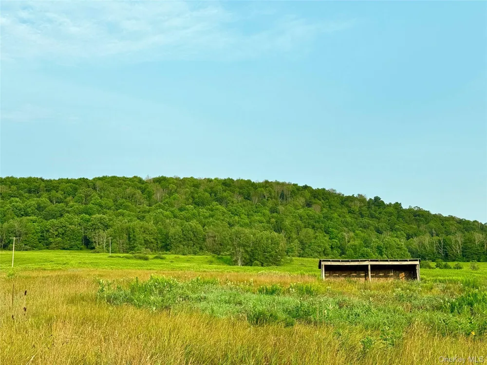 299 WALT PHILLIPS Call Listing Agent, NY 13460