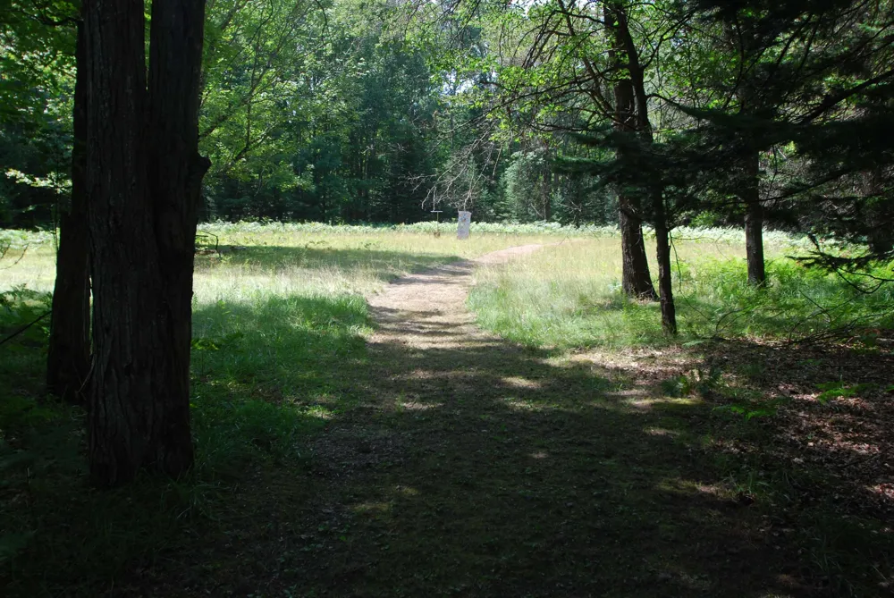 5295 Cedar Lake Road Clement Township, MI 48624