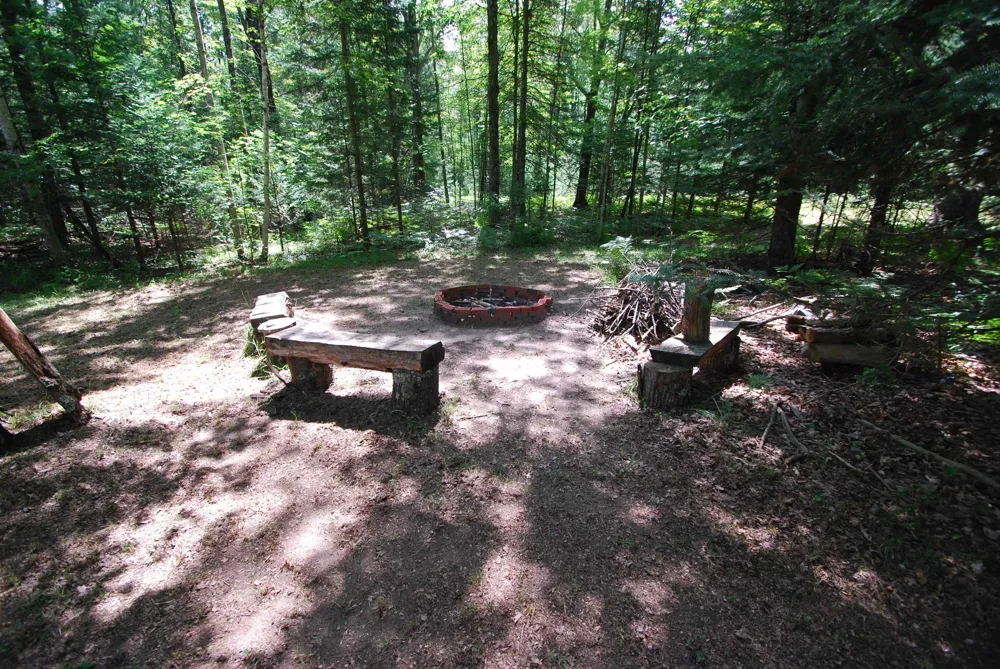 5295 Cedar Lake Road Clement Township, MI 48624