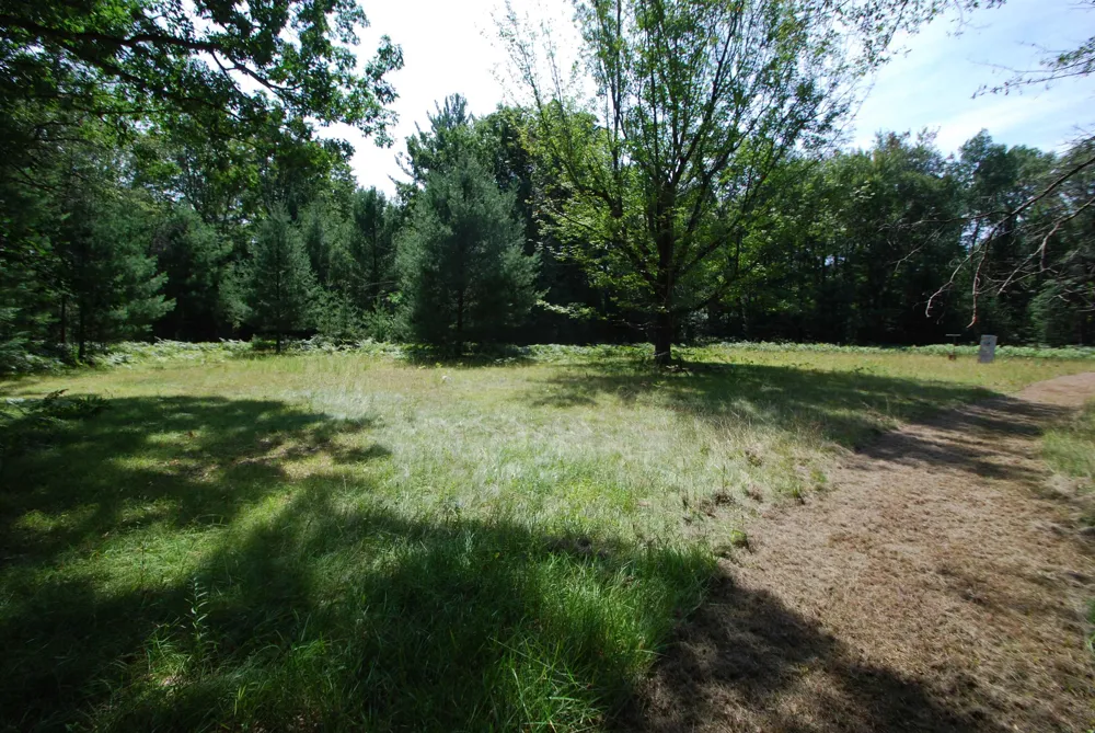 5295 Cedar Lake Road Clement Township, MI 48624