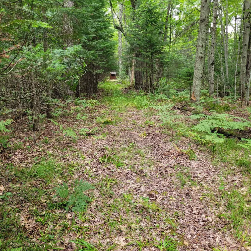 5295 Cedar Lake Road Clement Township, MI 48624