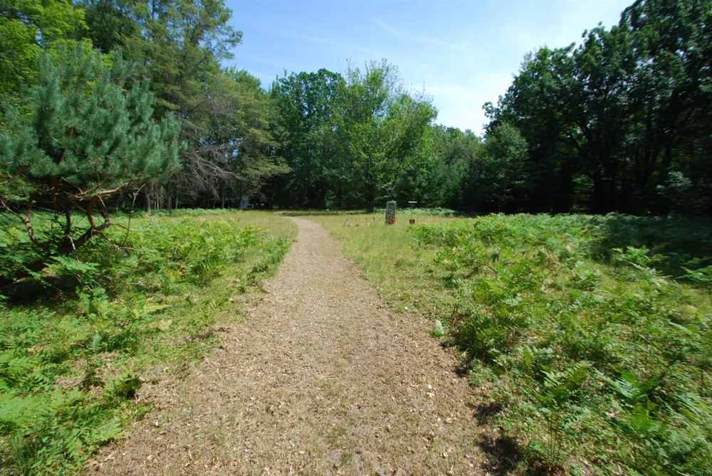 5295 Cedar Lake Road Clement Township, MI 48624