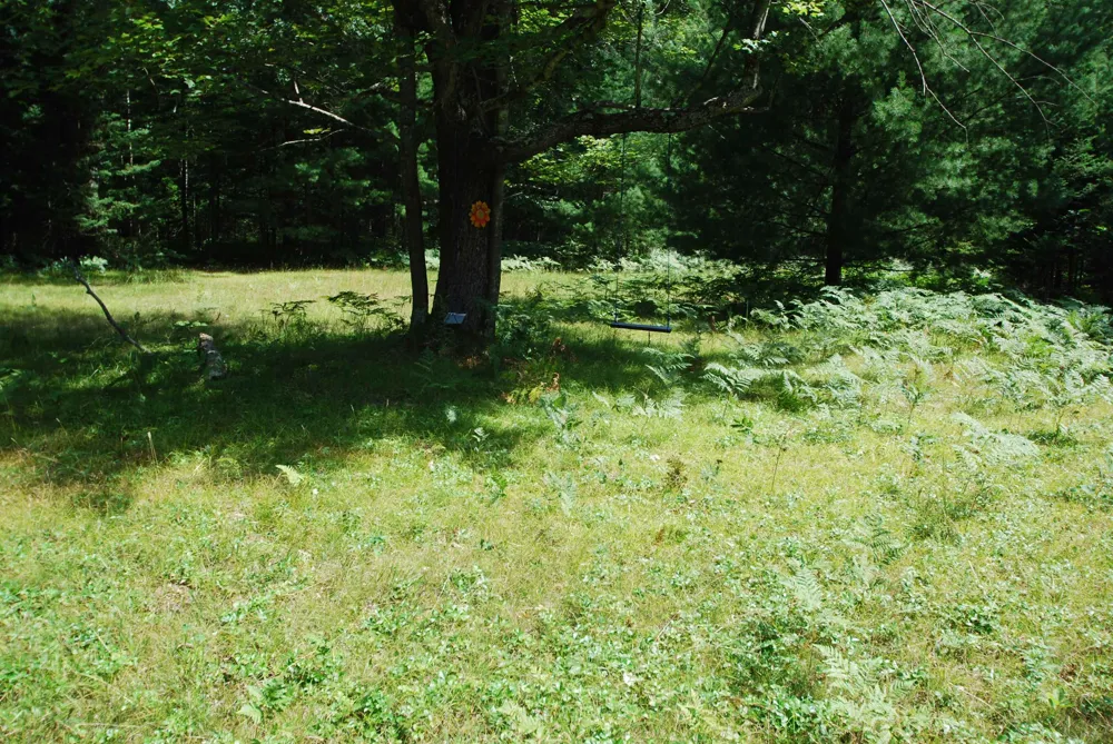5295 Cedar Lake Road Clement Township, MI 48624
