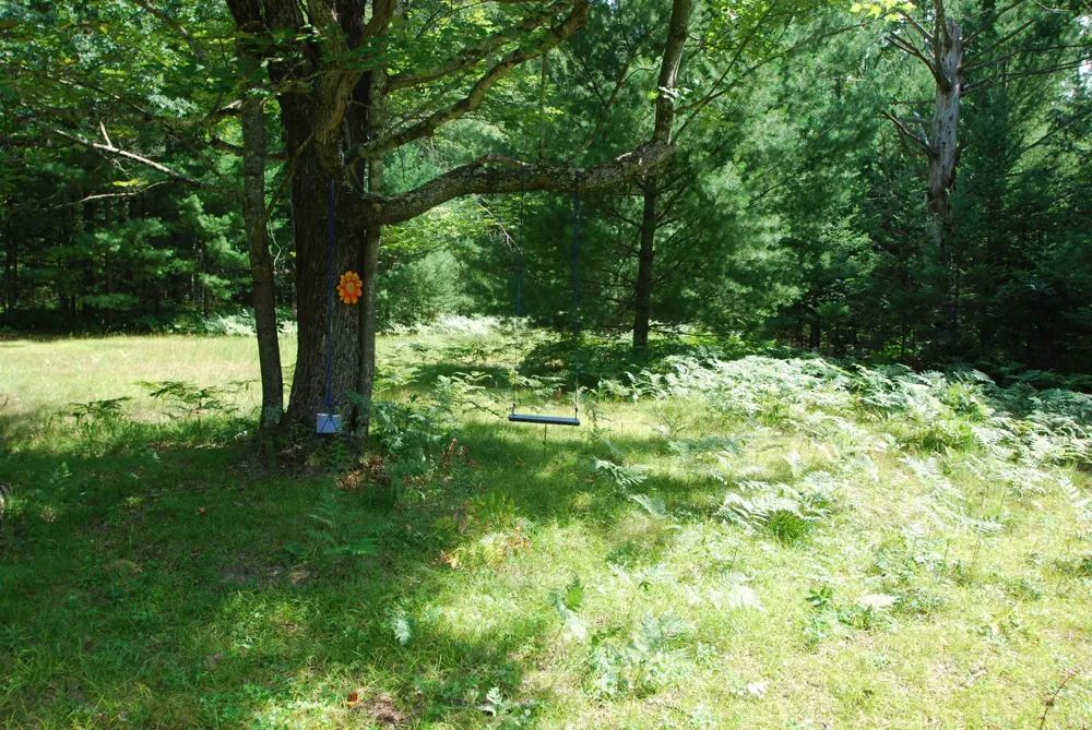 5295 Cedar Lake Road Clement Township, MI 48624