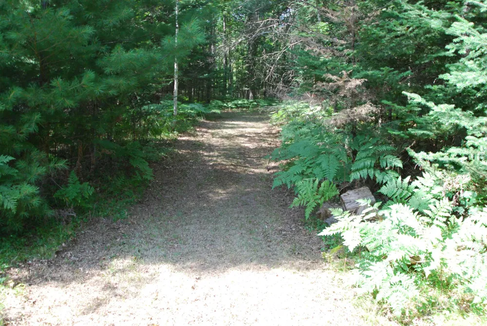 5295 Cedar Lake Road Clement Township, MI 48624