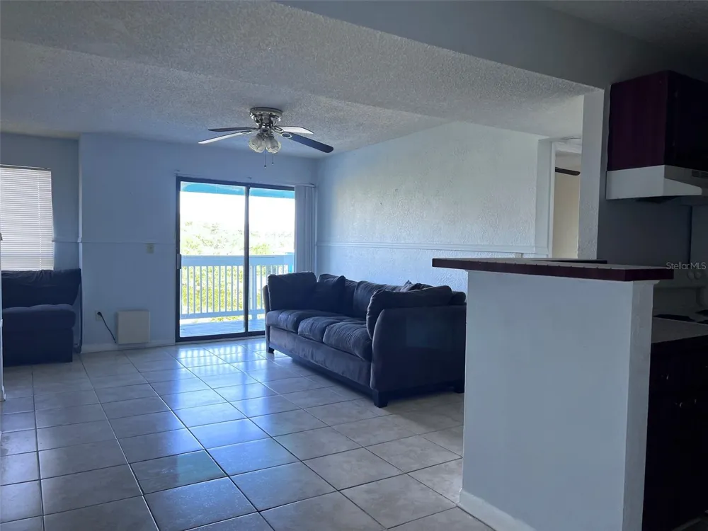 455 ALT 19 S #202 Palm Harbor, FL 34683
