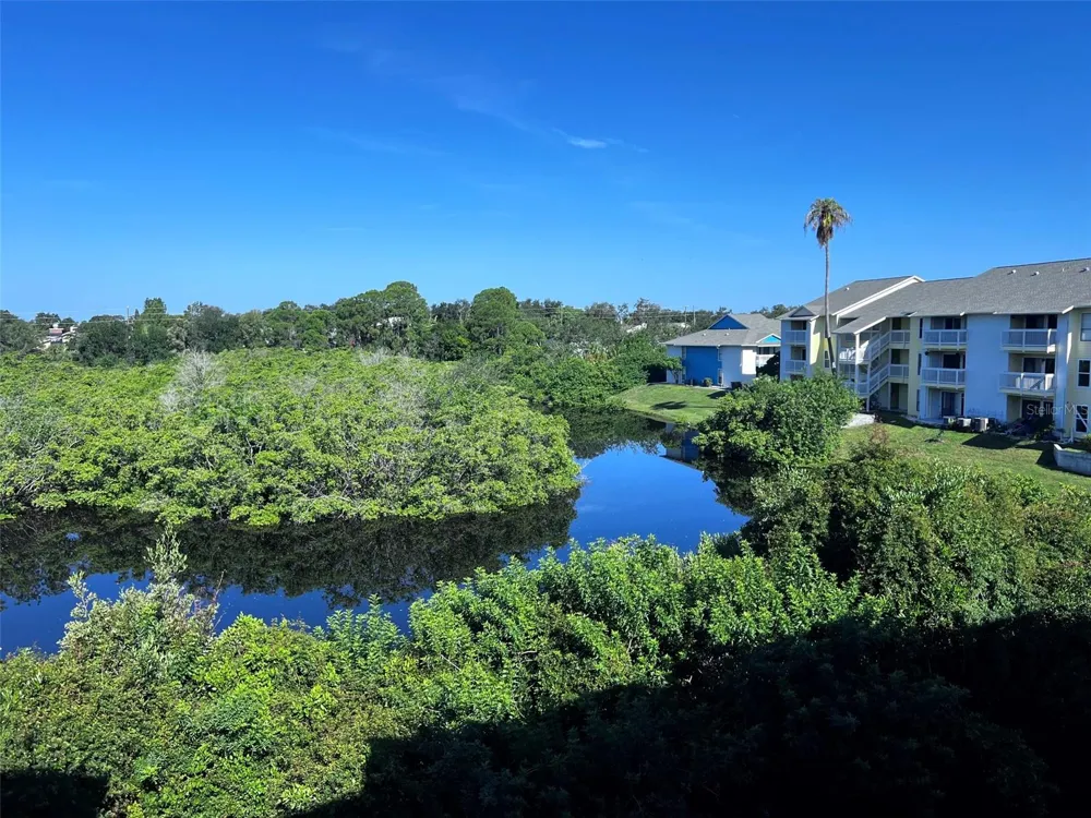 455 ALT 19 S #202 Palm Harbor, FL 34683
