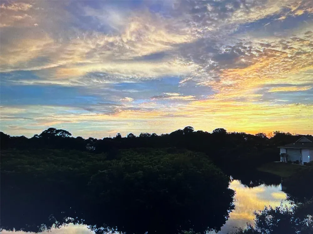 455 ALT 19 S #202 Palm Harbor, FL 34683