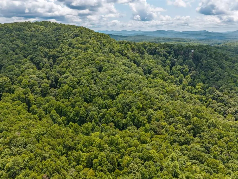 32 Raven Ridge Mineral Bluff, GA 30559