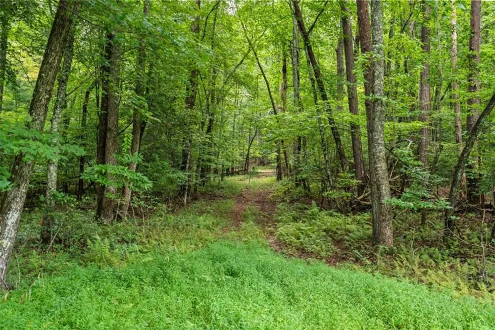 32 Raven Ridge Mineral Bluff, GA 30559