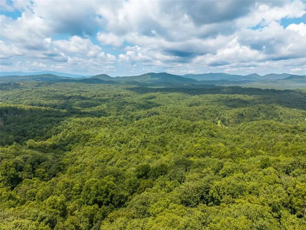 32 Raven Ridge Mineral Bluff, GA 30559