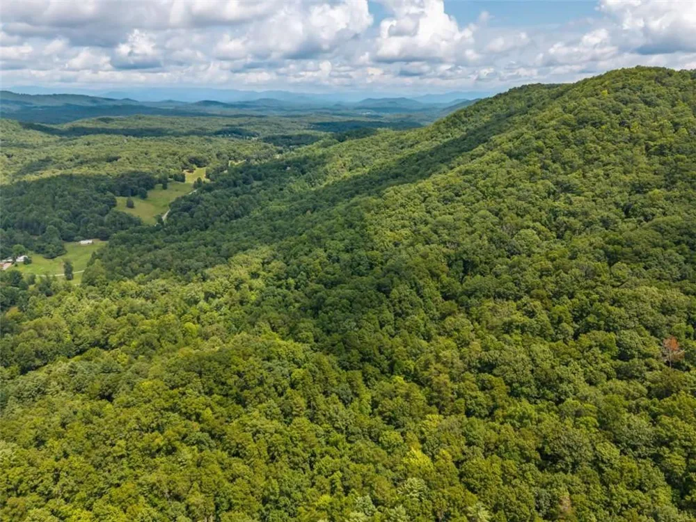 32 Raven Ridge Mineral Bluff, GA 30559