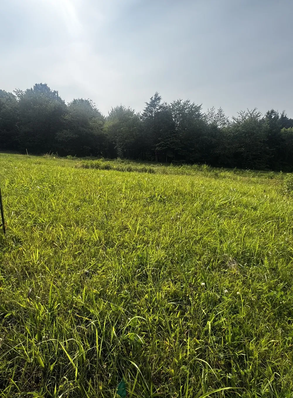 6481 Kelly Willis Rd Greenbrier, TN 37073