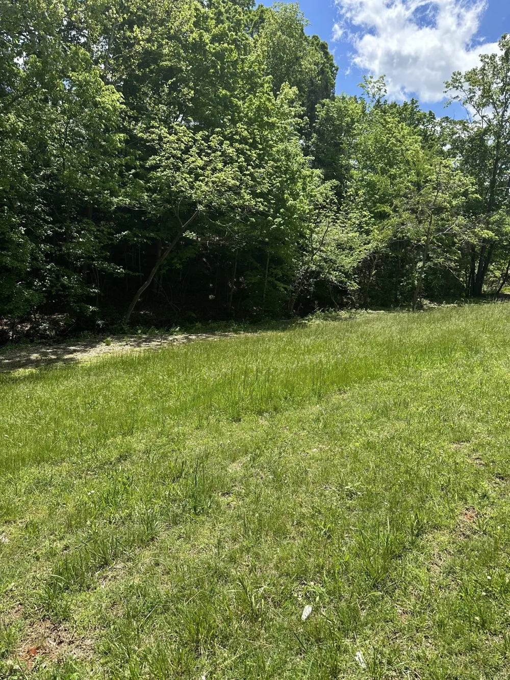 6481 Kelly Willis Rd Greenbrier, TN 37073