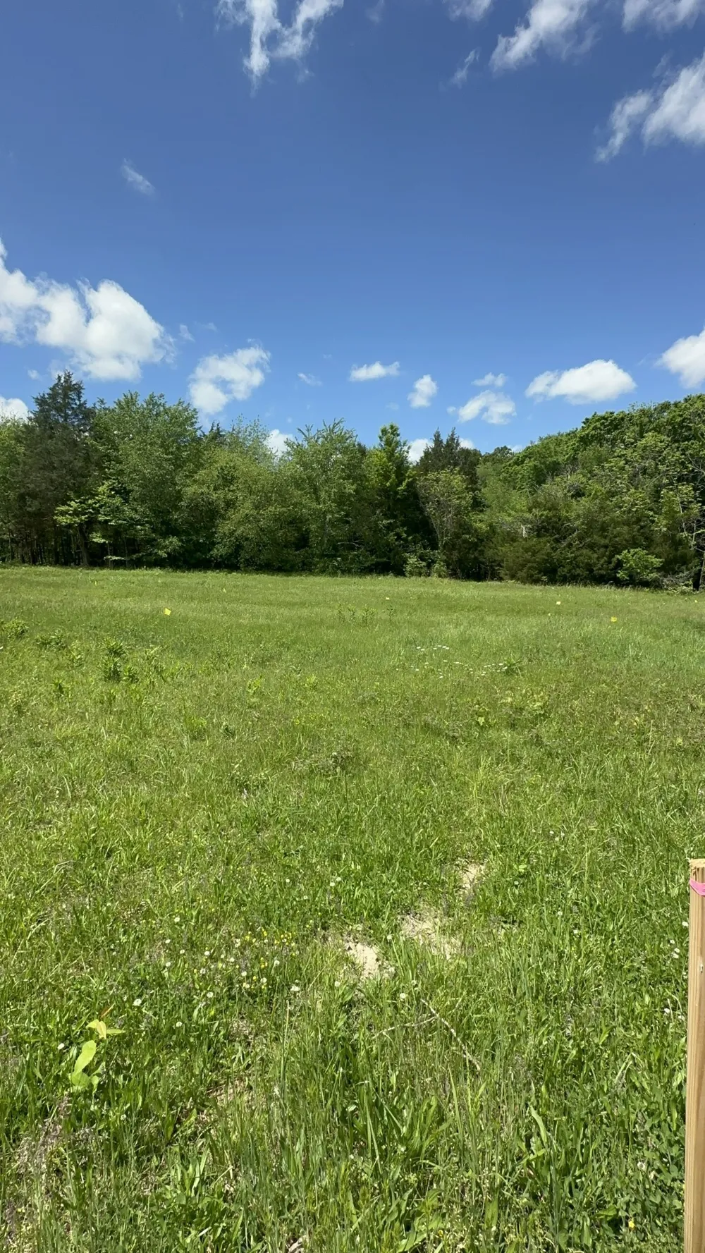 4050 Summit Dr Greenbrier, TN 37073