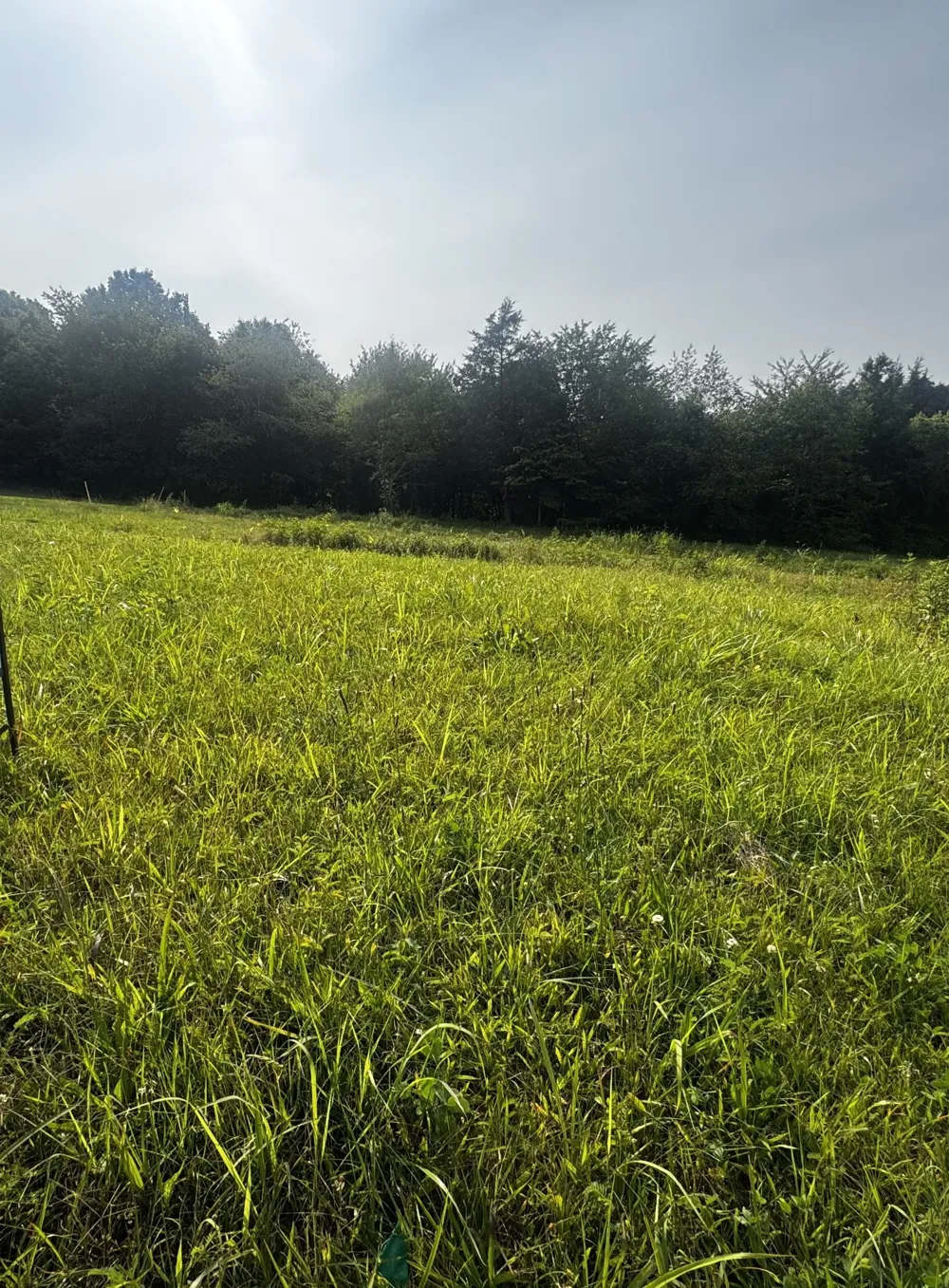 4050 Summit Dr Greenbrier, TN 37073
