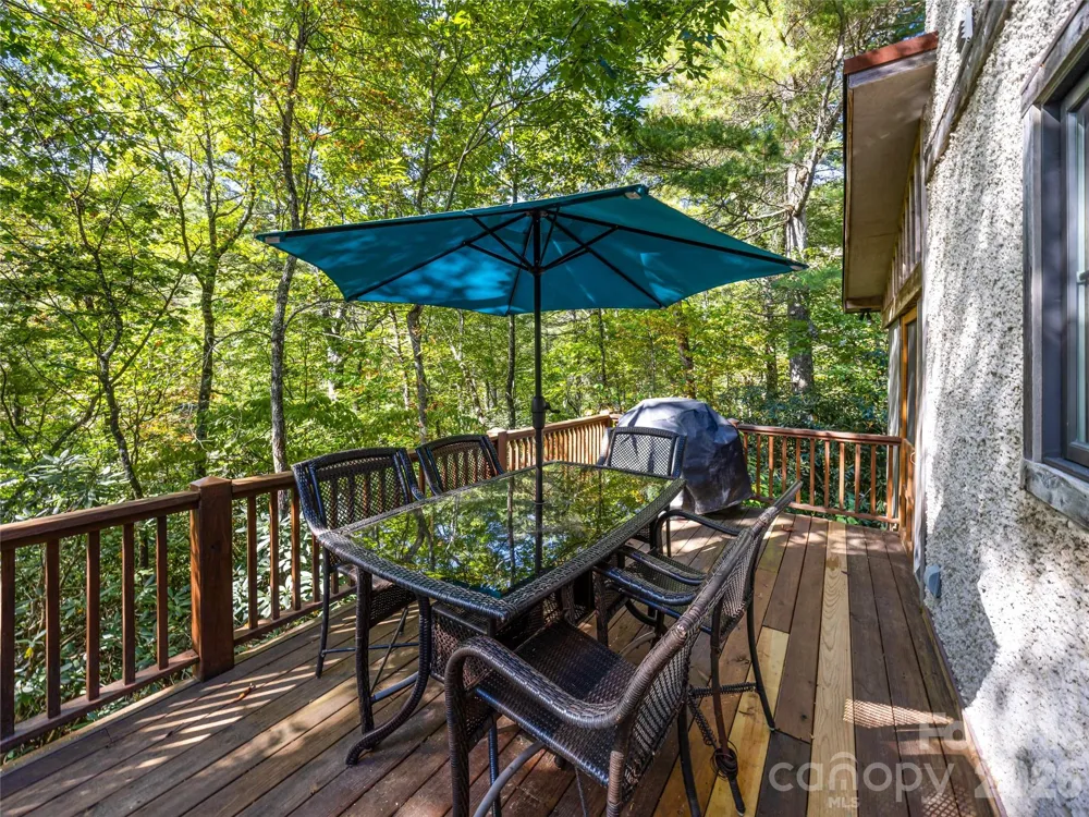 69 Dogwood Branch Road Zirconia, NC 28790