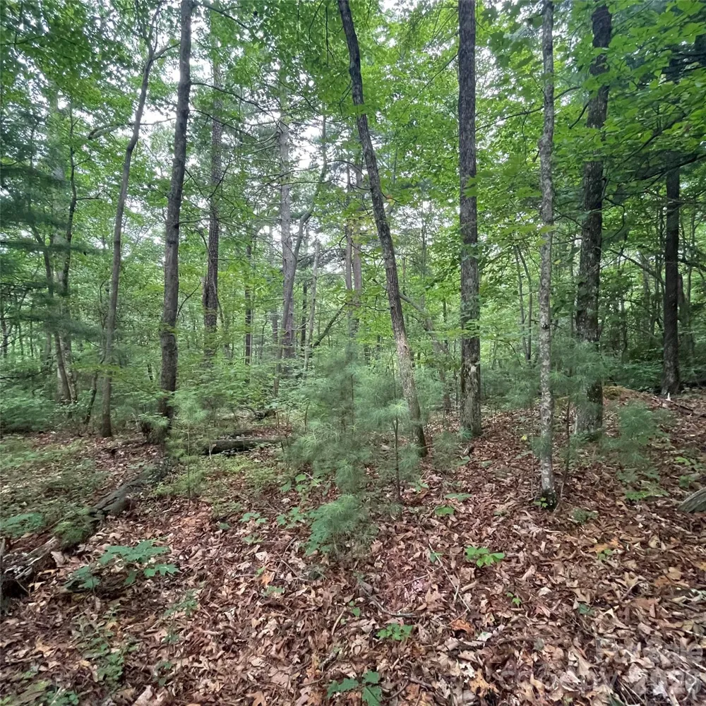 106 Red Mulberry Drive Zirconia, NC 28790