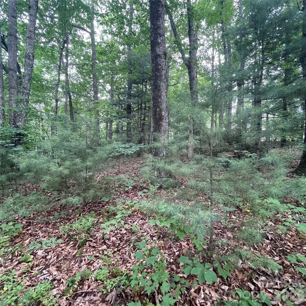 106 Red Mulberry Drive Zirconia, NC 28790