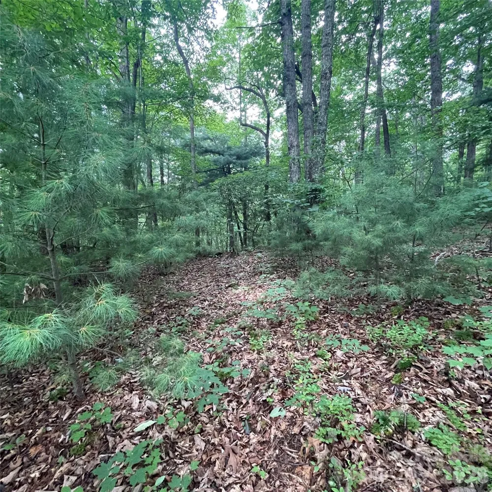 106 Red Mulberry Drive Zirconia, NC 28790