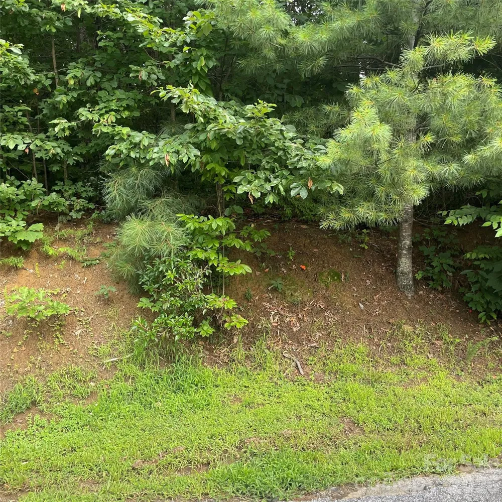 106 Red Mulberry Drive Zirconia, NC 28790