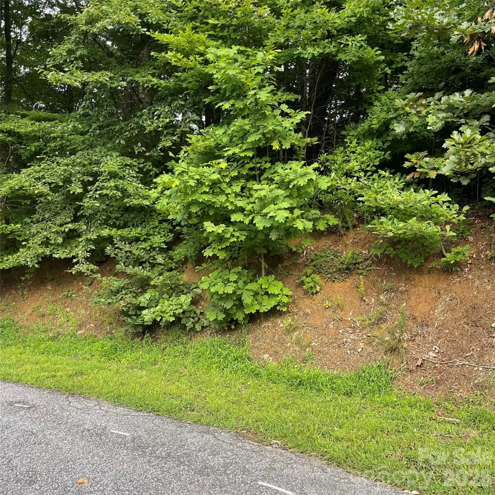 106 Red Mulberry Drive Zirconia, NC 28790