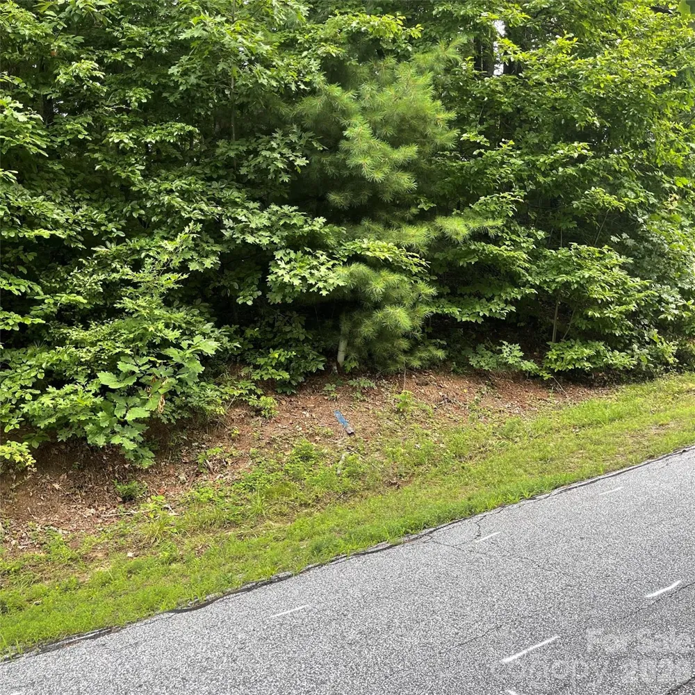 106 Red Mulberry Drive Zirconia, NC 28790